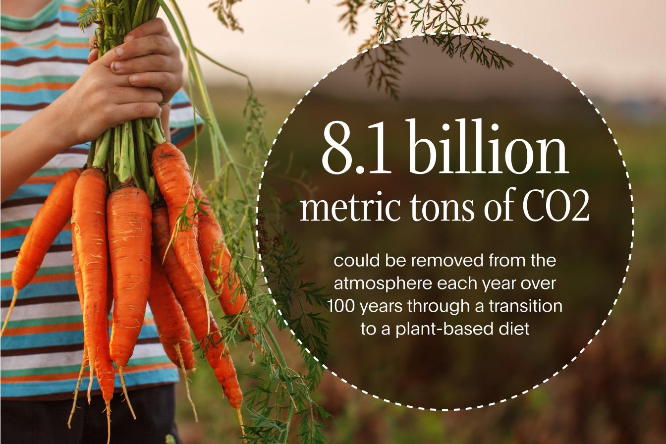 Person picking a bunch of carrots next to the fact that 8.1 billion metric tons of CO2 could be removed from the atmosphere by transitioning to plant based diets