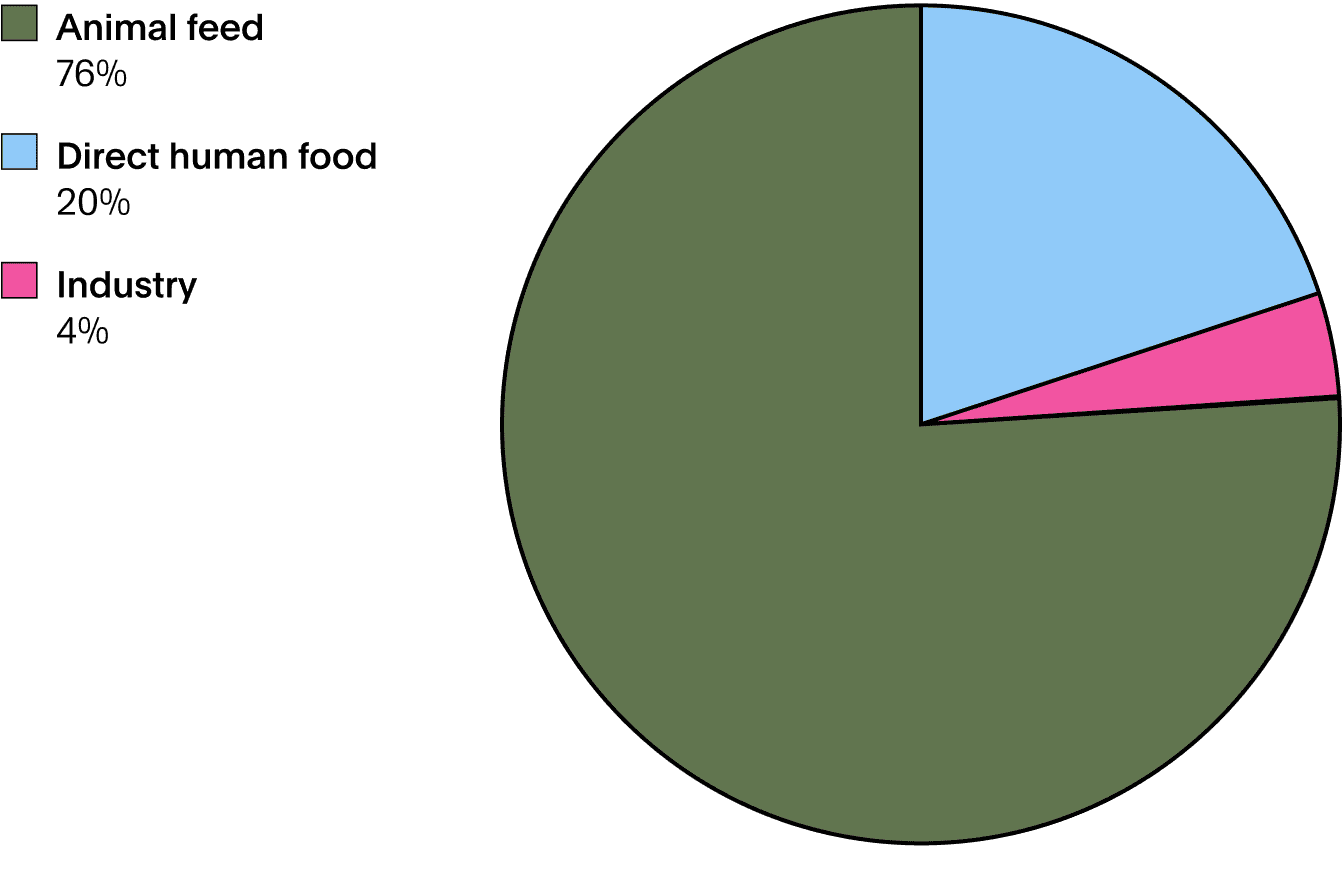 Pie chart showing how much monoculture cropping goes towards animal feed as opposed to human food and industry