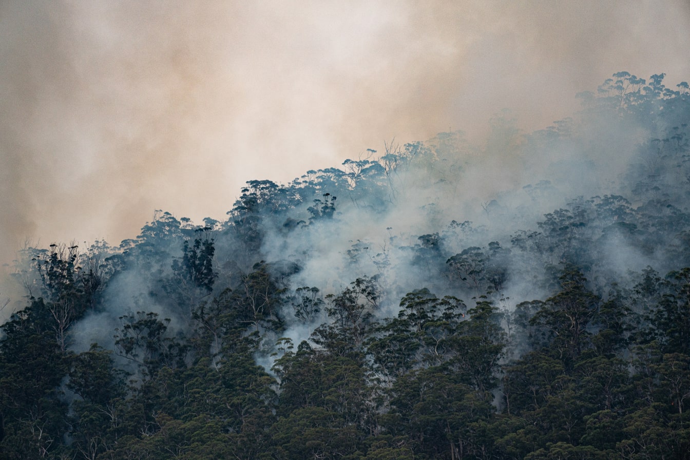 Bushfires impacting bush land in Australia